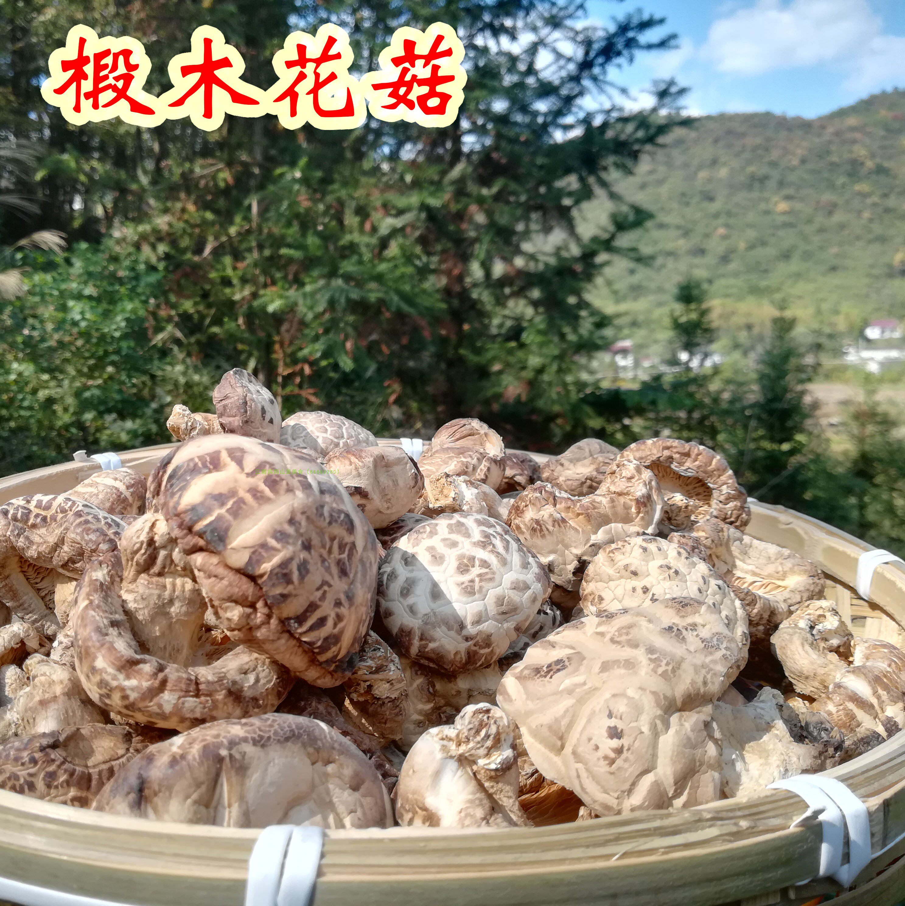 花菇干野生椴木香菇安徽特产农家冬菇蘑菇干货特产250g在类目 粮油米面/南北干货/调味品, 南北干货/肉类干货, 干货/土特产, 香菇类中 - 来自Buy2taobao.com提供专业的淘宝代购服务