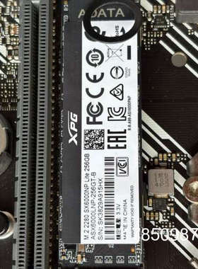 议价威刚xpg M.2 2280 sx6000np 256g 固议价
