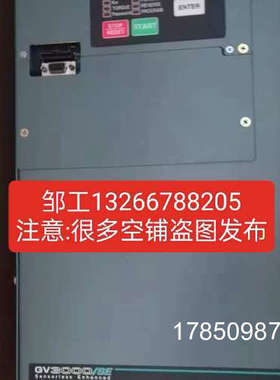 议价瑞恩伺服驱动器GV3000/SE销售50V4060议价
