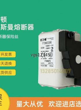 非实价议价议价全新快速熔断器保险170M3363 170M3364 170M3365 1