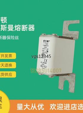 非实价议价议价全新快速熔断器保险170M2821 170M2866 170M2970 1