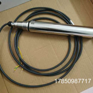 CUS52D 浊度电极 10D8 H恩德议价 议价E 德国E