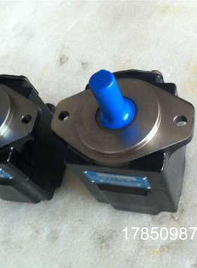 议价美国丹尼逊DENISON三联泵 T6C-006-1R02-A1M1 叶片泵/油泵/液