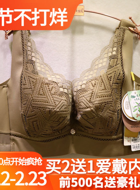 爱戴D6599国色添香CDE杯美背收副乳显小茯苓纱磁石调整文胸