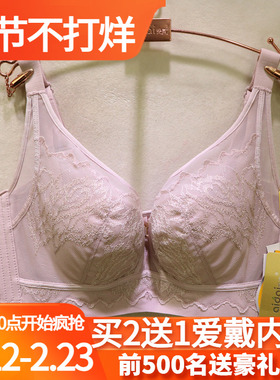 爱戴美颜罩D6763软钢圈BC薄杯网纱透气美背聚拢收副乳调整型文胸