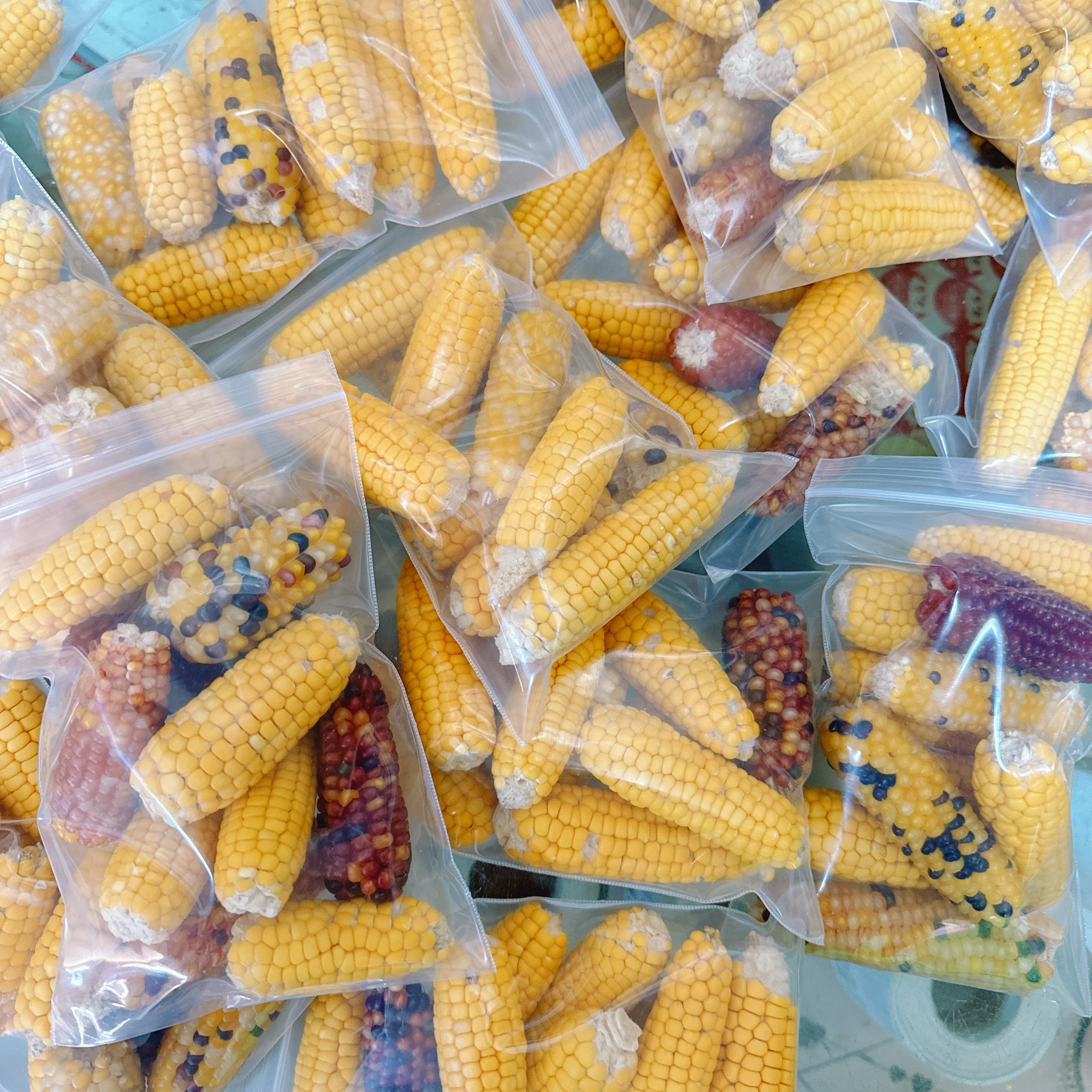仓鼠磨牙零食玉米棒专治啃笼鼠鼠磨牙零食用品金丝熊磨牙