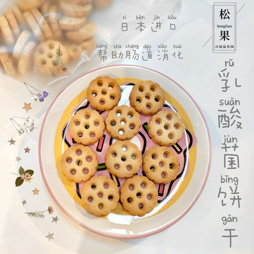 仓鼠磨牙小零食 日本乳酸菌饼干金丝熊花枝鼠侏儒龙猫调理肠胃