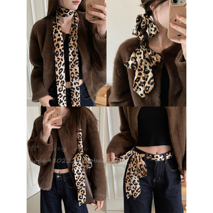 秋冬美拉德豹纹系脖颈带女气质高级感飘带丝巾多用途发带腰带装饰