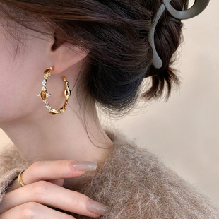 美拉德复古虎眼石耳钉2025新款 高级感耳环耳圈女秋冬小众夸张耳饰