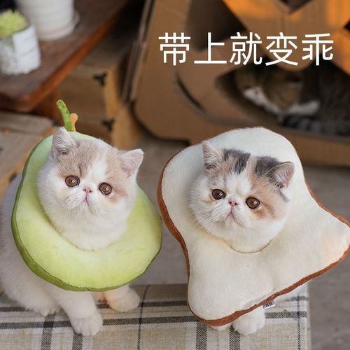牛油果吐司伊丽莎白圈折耳东方暹罗猫咪可爱恶搞面包片猫头饰头套