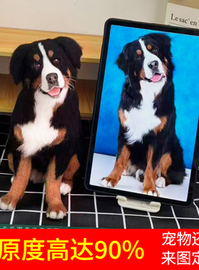 羊毛毡仿真宠物定制纪念品离去世手工diy订制相框礼物猫猫咪