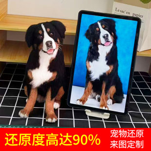 羊毛毡仿真宠物定制纪念品离去世手工diy订制相框礼物狗狗猫猫咪