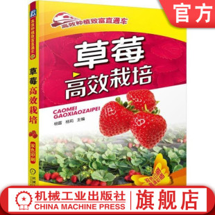 机工社官网正版 草莓高效栽培 杨雷  杨莉 农业种植致富直通车 育苗技术 植株管理 水肥 温湿度调控 病虫害防控 采收 包装 运输