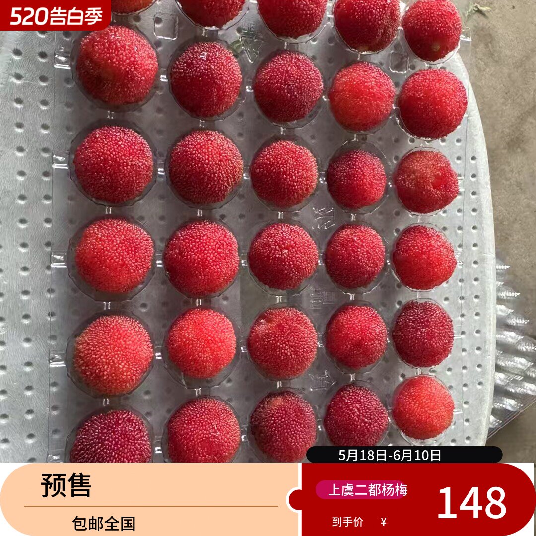 2026正宗上虞二都杨梅5斤装真山杨梅粉红种杨梅颗粒包装顺丰冷链