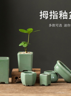 哥窑小花盆拇指陶瓷盆绿植九里香