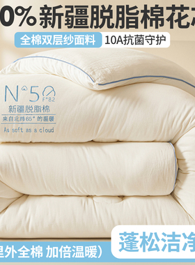 A类双层纱脱脂棉花里外全棉棉花被子冬被纯棉花春秋被加厚棉被芯