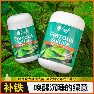 硫酸亚铁伴侣柠檬酸肥料柠檬酸花卉专用酸性植物通用型土壤调酸剂