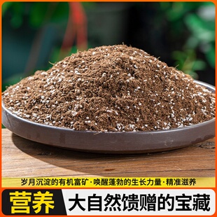通用型营养土种菜养花蔬菜水果专用羊粪土花土阳台种菜土栽培基质