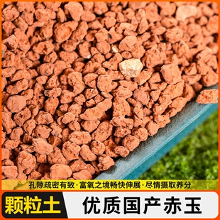 颗粒正品金松土硬质赤玉土植物营养土已过筛专用优质营养土通用土