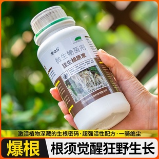 金弹子爆根剂专用生根壮苗水溶肥复活营养粉原液扦插强力猛活力素