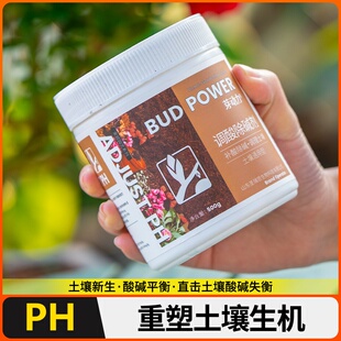 硫酸亚铁喜酸性花卉绿植栀子茉莉杜鹃专用土壤调酸铁肥料高效补肥