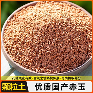 金松土颗粒赤玉土正品硬质颗粒大包装盆景专用爬宠多肉铺面石通土