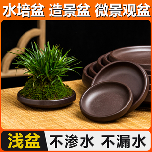 紫砂托盘接水盘垫盘底托陶瓷底盘 多肉植物 幸运 巴西木花盆托盘