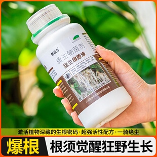 大树复活液死树成活生根药水枯树再生液强力壮苗猛生根营养液专业