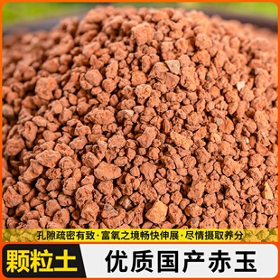 赤玉土颗粒金松土硬质多肉赤玉土盆景兰花专用爬宠铺面拌土大包土