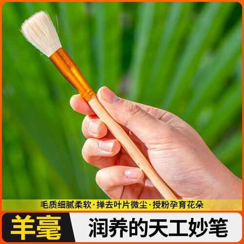 油画笔刷子羊毛水粉笔绘画涂胶水清洁毛扫小号单只软毛烘焙刷蛋液