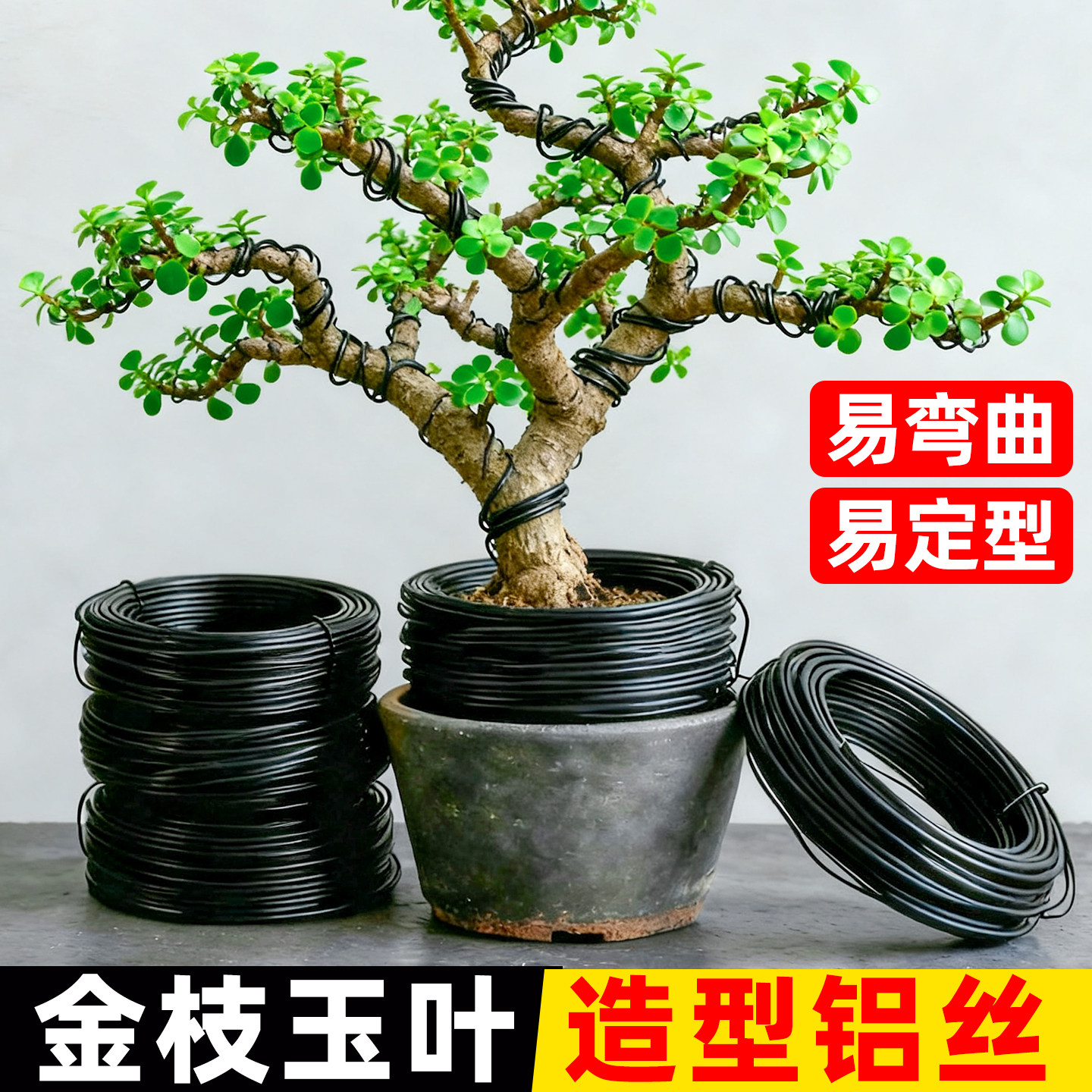 盆景专用金枝玉叶造型铝丝太阳花三角梅造型铁丝支架小叶簕竹铝线图片