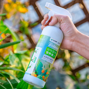 龟背竹营养液免稀释喷施叶面肥水培龟背竹专用肥防黄叶锈斑病营养