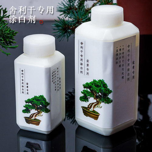 盆景制作舍利杆涂白直接涂抹