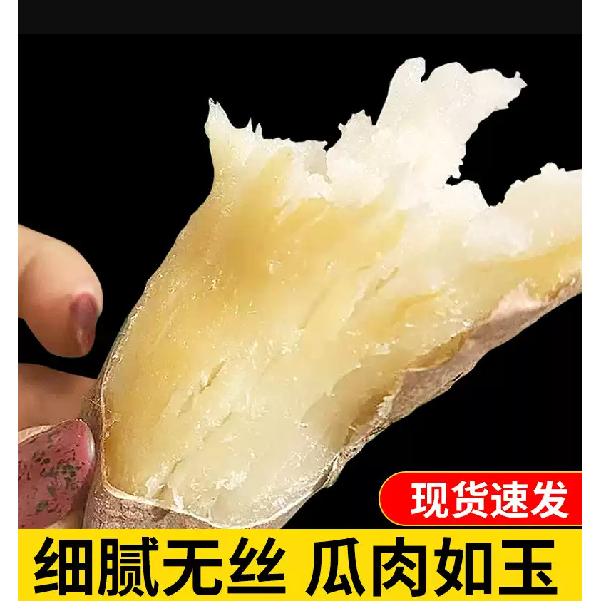 山东白心红薯冰糖心新地瓜农家5蔬菜沙地糖心山芋食用鲜番薯紫薯