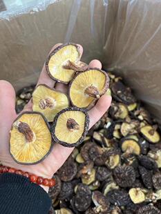 新货粤北特产始兴椴木香菇黑面菇花菇香信野外姑韶关特产散干冬菇