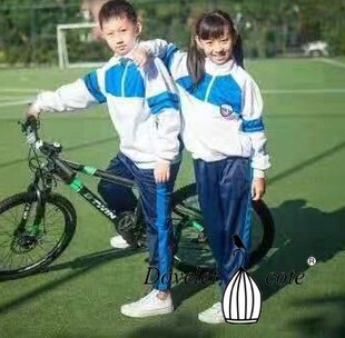 大连市小学生校服金普新区春秋套装运动服金州开发区同款校服