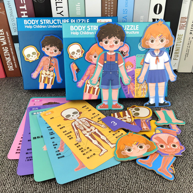 儿童认知男女孩人体身体结构拼图器官图片幼儿园教具早教益智玩具