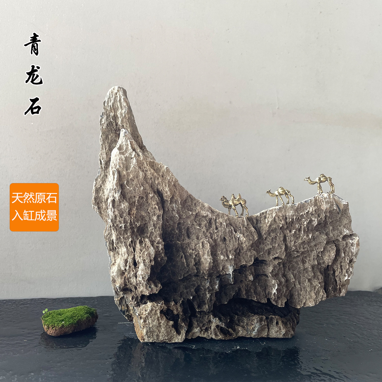 天然青龙石鱼缸造景石附树石