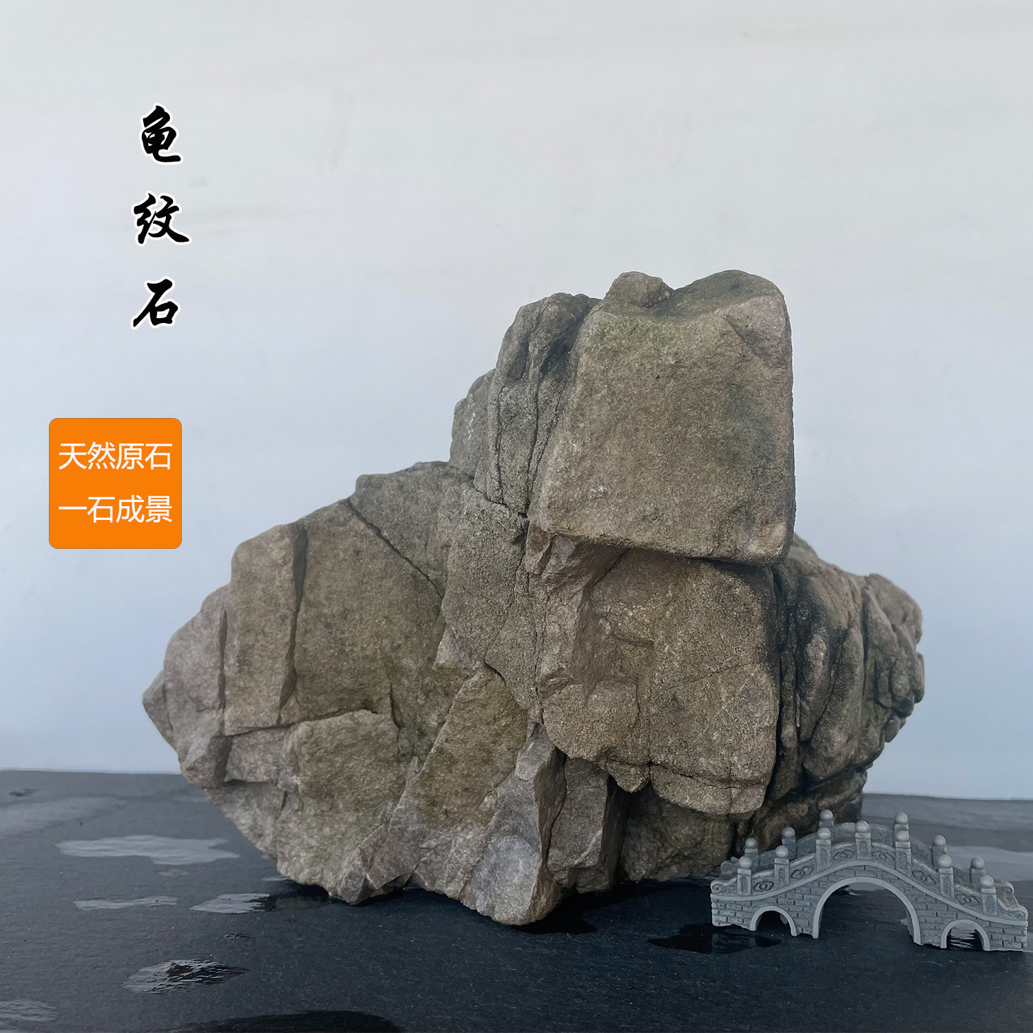 天然龟纹石鱼缸石头山水盆景石