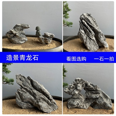 精选鱼缸造景石提根附树青龙石