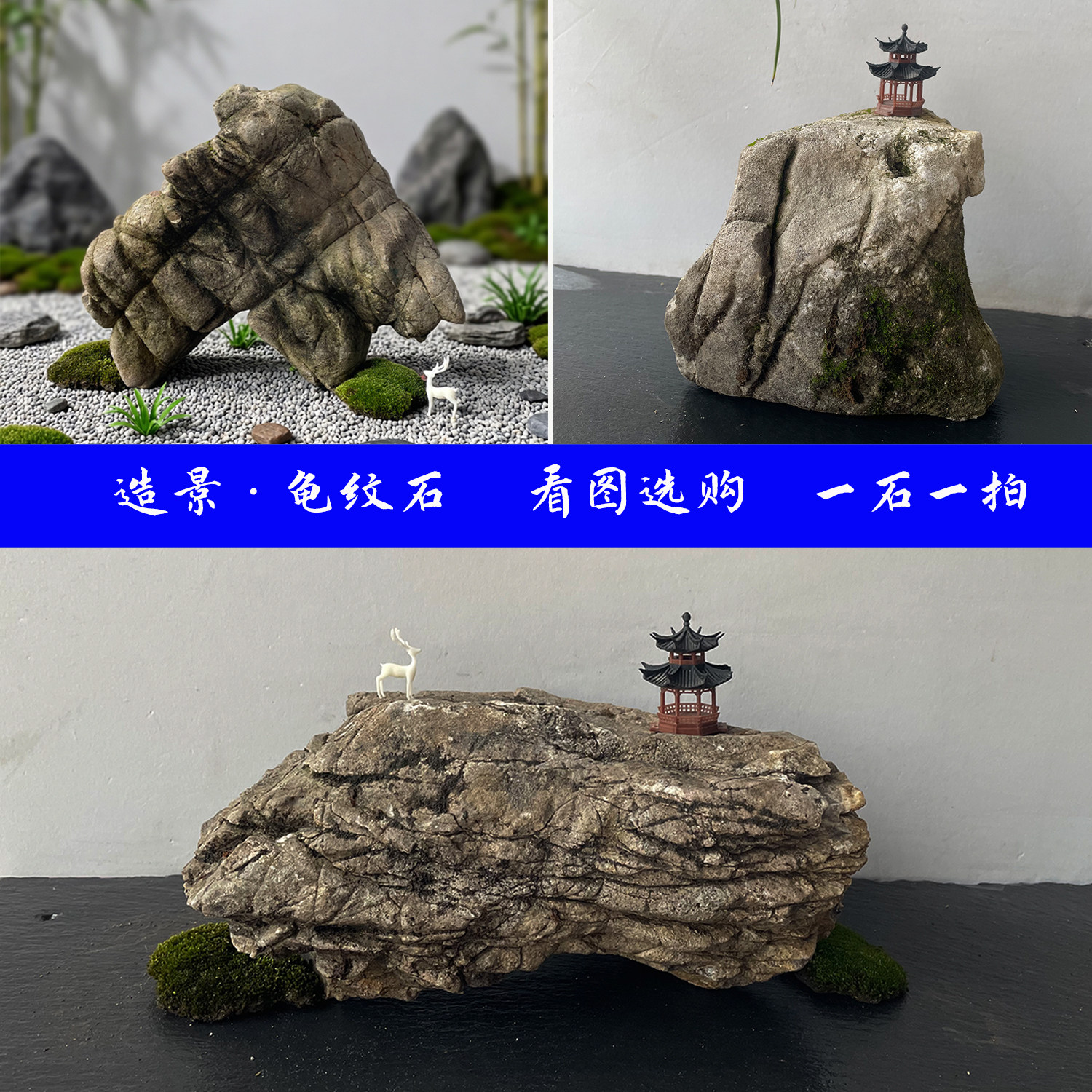 精选天然龟纹石水陆鱼缸石头一石一拍乌龟爬石桌面景观干景造景石