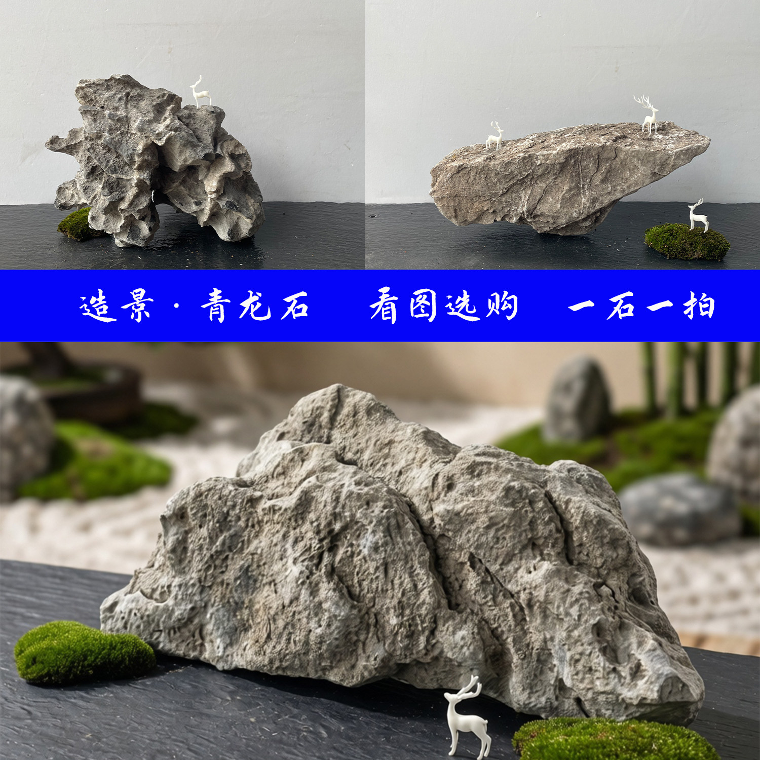 精选青龙石造景石一石一拍乌龟爬石小米鱼缸石桌面微景观天然原石