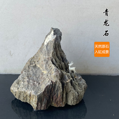 青龙石鱼缸造景石盆景石桌面装饰