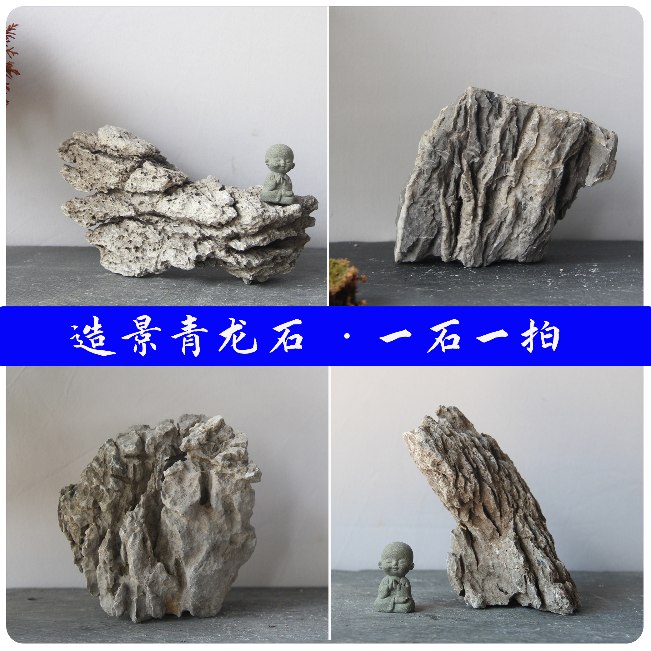 真石头鱼缸造景石提根附树青龙石