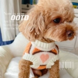 Демисезонный бархатный свитер, жилет, куртка, коллекция 2021