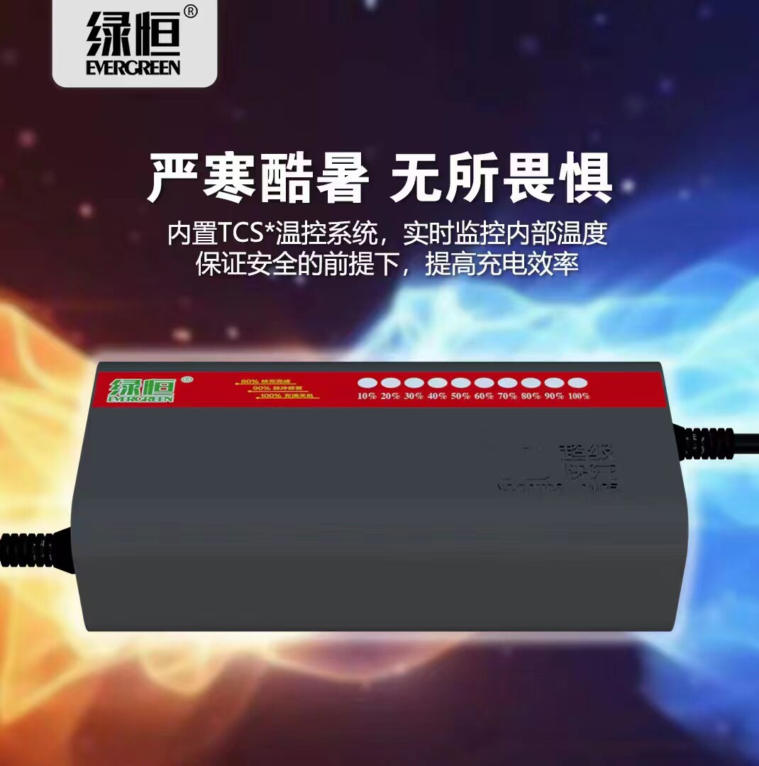 绿恒10灯智能三轮四轮两用充电器快充脉冲修复防阻燃充满自动关机图片