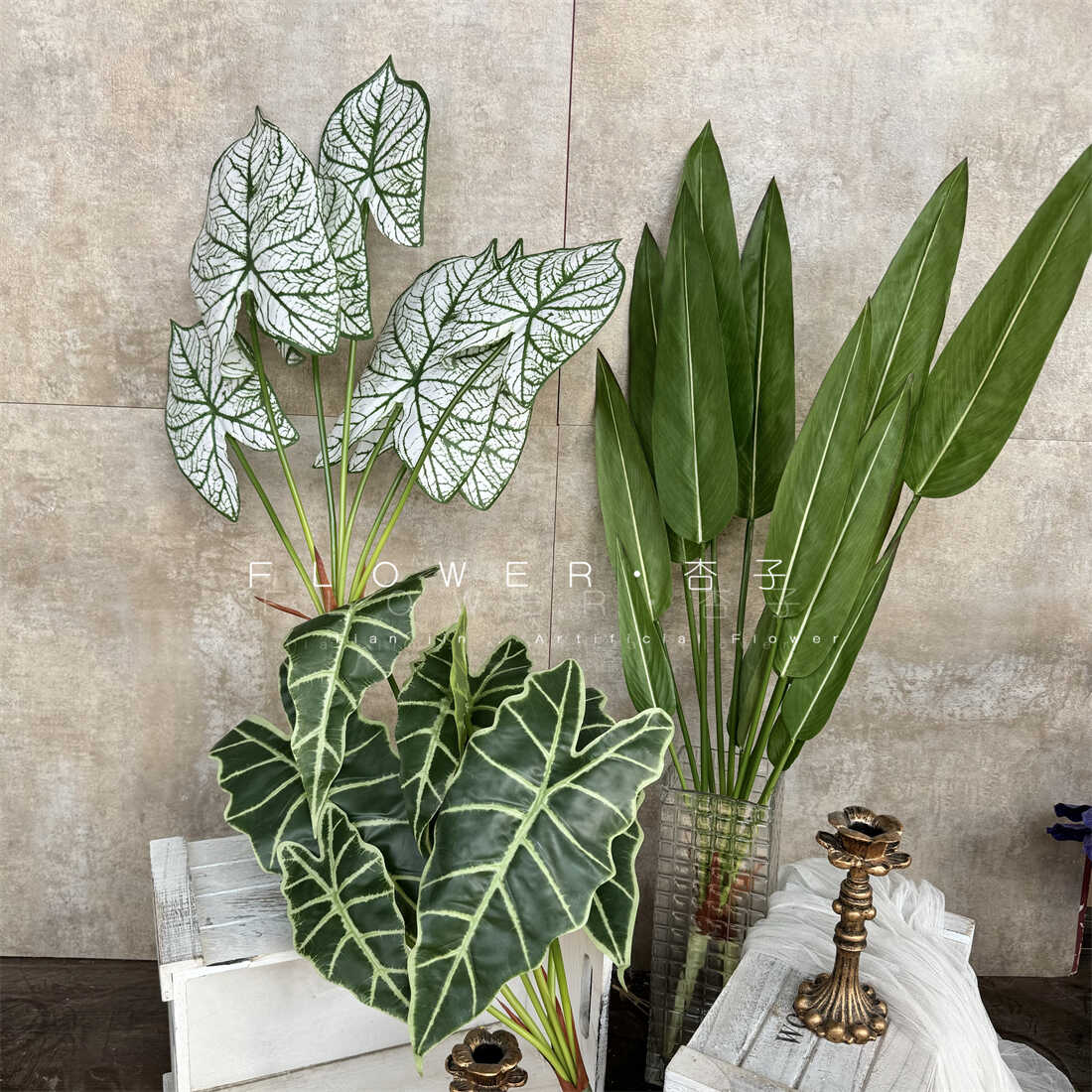 仿真海芋叶观音叶ins网红绿植装饰设计绿植水竹芋商场橱窗彩芋叶图片
