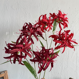 红色彼岸花仿真花风雨兰古风汉服头饰装饰花艺手拿摄影古装剧造景