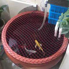 红色网鱼池防跳网防猫网