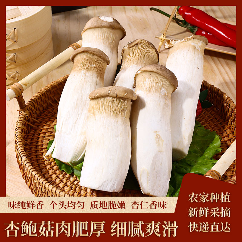 杏鲍菇新鲜现摘鸡腿菇